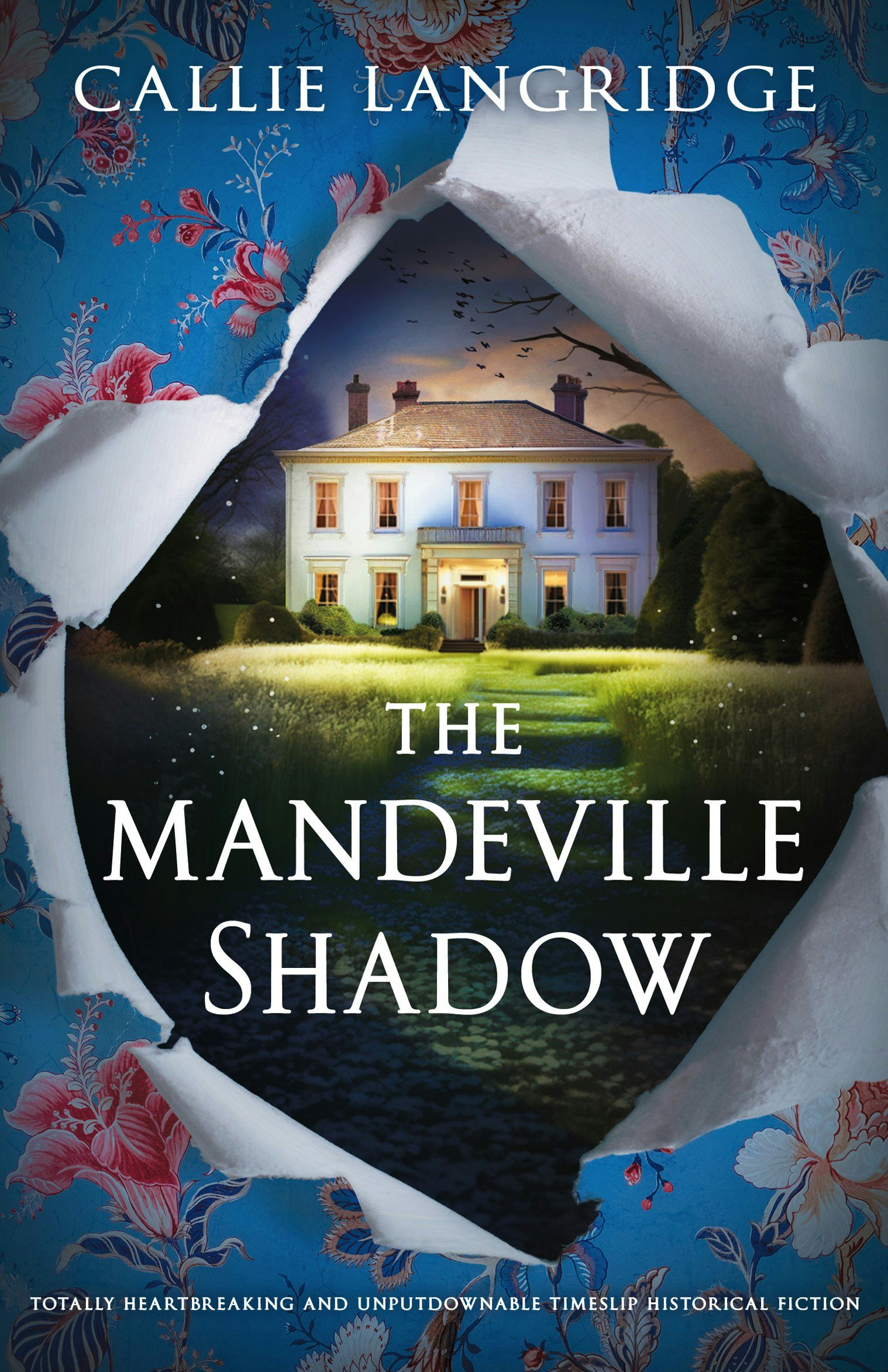 Book cover image for The Mandeville Shadow ISBN: 9781805082996